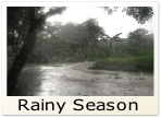 Rainy Season
